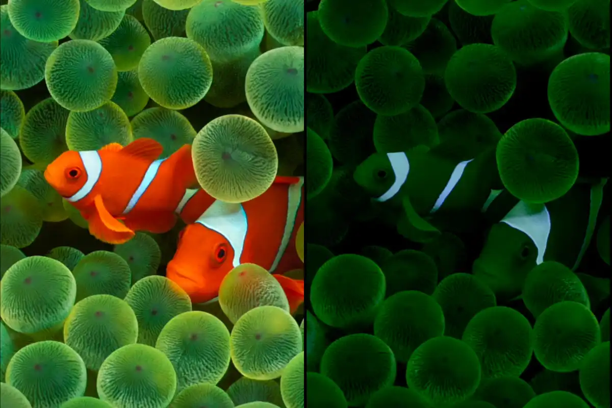 苹果史上最大规模界面改版：玻璃质感界面为重头戏